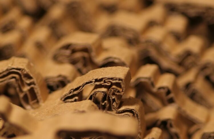 Προς «πράσινα» προϊόντα και συσκευασίες καταναλωτές και πολυεθνικές