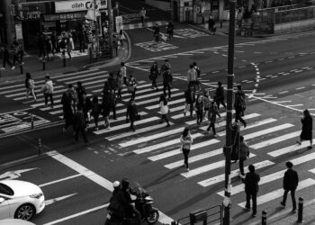 the-traffic-light-insurancedaily