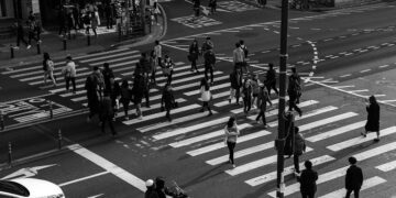 the-traffic-light-insurancedaily