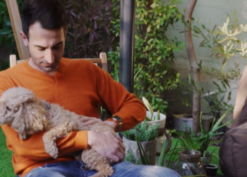 wedo.insure: Ασφάλιση κατοικίδιου; Ρωτήστε τον ασφαλιστικό σας πράκτορα