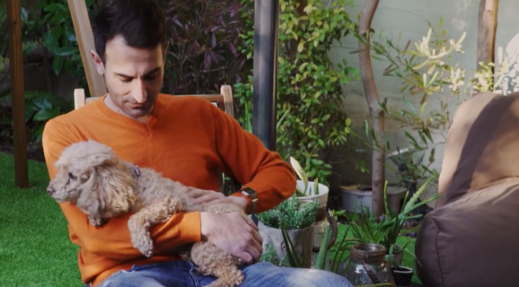 wedo.insure: Ασφάλιση κατοικίδιου; Ρωτήστε τον ασφαλιστικό σας πράκτορα