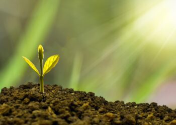 Η SAS γιορτάζει την Ημέρα της Γης με “πράσινες” δράσεις