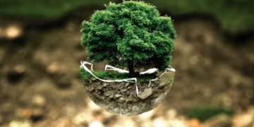 Τελικά στην Ευρώπη ο ρυπαίνων συχνά… δεν πληρώνει