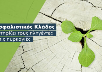 Ο Ασφαλιστικός Κλάδος δίπλα στους πληγέντες από τις πυρκαγιές