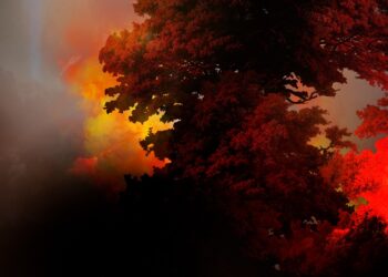 burning-forest-global-warming-wildfire-photography