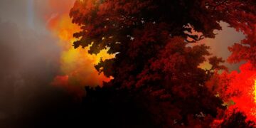 burning-forest-global-warming-wildfire-photography