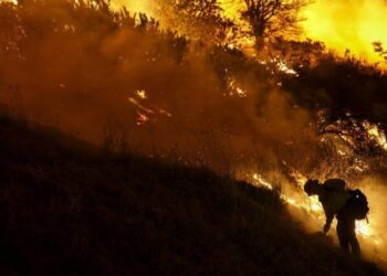 Ελλάδα: 81 δασικές πυρκαγιές σε μια ημέρα