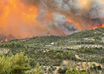 Οδηγός για τις δηλώσεις αναστολών συμβάσεων εργασίας πυρόπληκτων της Β. Εύβοιας