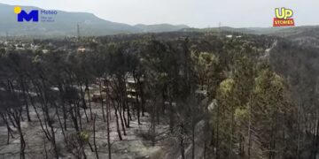 Βαρυμπόμπη