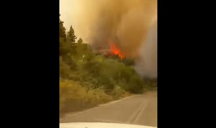 Λιβαδάκι Γορτυνίας