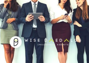 WISE DAEDALUS_job interview
