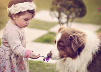 Pet Insurance: Είναι σε θέση να αντέξουν οικονομικά την νοσοκομειακή περίθαλψη των κατοικιδίων τους οι ιδιοκτήτες;