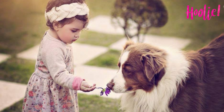 Pet Insurance: Είναι σε θέση να αντέξουν οικονομικά την νοσοκομειακή περίθαλψη των κατοικιδίων τους οι ιδιοκτήτες;