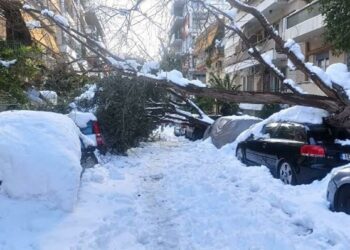 Δ. Αθηναίων: Θα αποζημιώσει ιδιοκτήτες ΙΧ με ζημιές λόγω πτώσης δέντρων