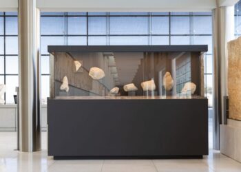 Τα θραύσματα του Παρθενώνα και η Πολιτισμική Συνέχεια