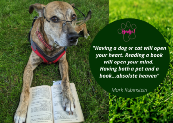 Ασφάλιση κατοικιδίων Hoolie Pet Insurance !