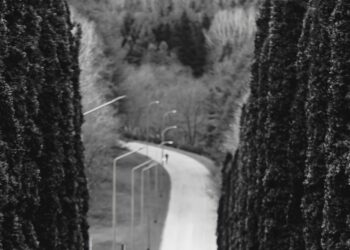 Κόλλησαν στην… ανηφόρα οι ασφαλίσεις οχημάτων