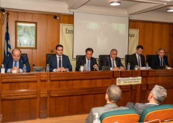 Γ. Χατζηθεοδοσίου: Να στηριχθούν οι μικρομεσαίοι