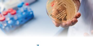 Μύκητας Candida auris: Πόσο πρέπει να ανησυχούμε