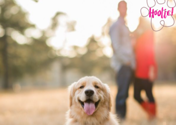 Ασφαλιστικό πρόγραμμα κατοικιδίου “Pluto, by Hoolie Foundation”