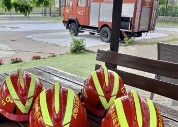 Γ. Ρούντος: Το Δάσος, οι Άνθρωποι και το πρότυπο των Εθελοντών Δασοπυροπροστασίας