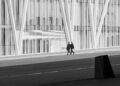 «Σταύρος Χαρισόπουλος: Common Factor» στο Χώρο Τέχνης της Εθνικής Ασφαλιστικής «ΣΤΟart ΚΟΡΑΗ»