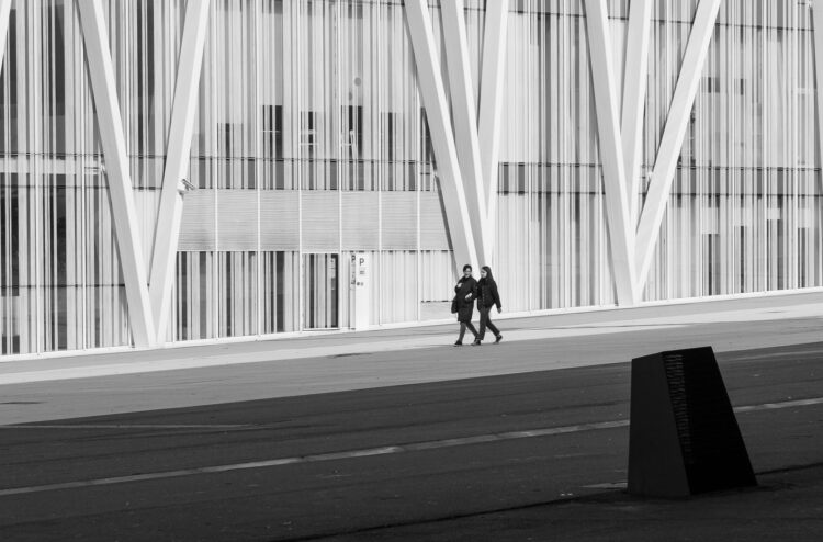 «Σταύρος Χαρισόπουλος: Common Factor» στο Χώρο Τέχνης της Εθνικής Ασφαλιστικής «ΣΤΟart ΚΟΡΑΗ»