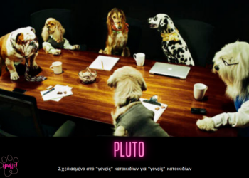 HOOLIE: Το πρόγραμμα PLUTO προσφέρει ό,τι χρειάζεται το κατοικίδιό σας