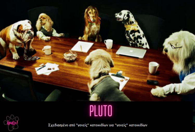 HOOLIE: Το πρόγραμμα PLUTO προσφέρει ό,τι χρειάζεται το κατοικίδιό σας