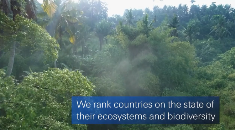 O Δείκτης Βιοποικιλότητας και Υπηρεσιών Οικοσυστήματος του Swiss Re Institute (video)