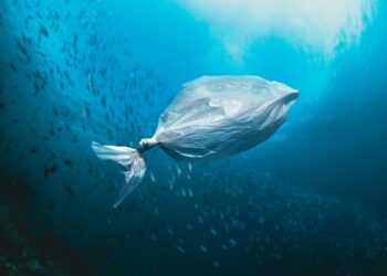 climate-change-concept-collage