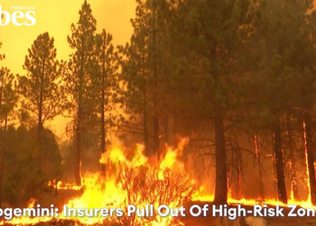 Κλιματική αλλαγή: Αυξήθηκαν κατά 250% τα τελευταία 3 χρόνια οι οικονομικές απώλειες (video)