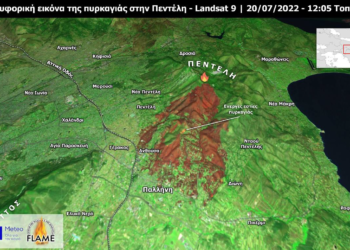 6 εκατ. ευρώ οι αποζημιώσεις της ασφαλιστικής αγοράς για τις πυρκαγιές του Ιουλίου