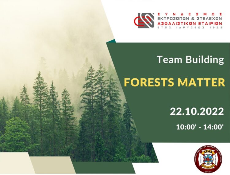 Team Building-Forests Matter