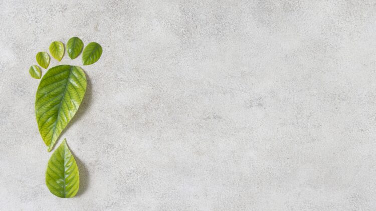 Οι επενδυτικές αποφάσεις έχουν «άρωμα» καινοτομίας και ESG