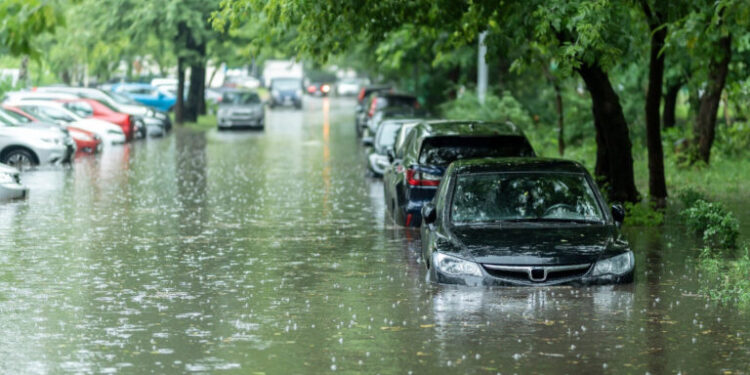 3 σημαντικές ζημιές σε επιχειρήσεις από ανεξέλεγκτα στοιχεία της φύσης.