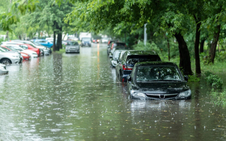 3 σημαντικές ζημιές σε επιχειρήσεις από ανεξέλεγκτα στοιχεία της φύσης.