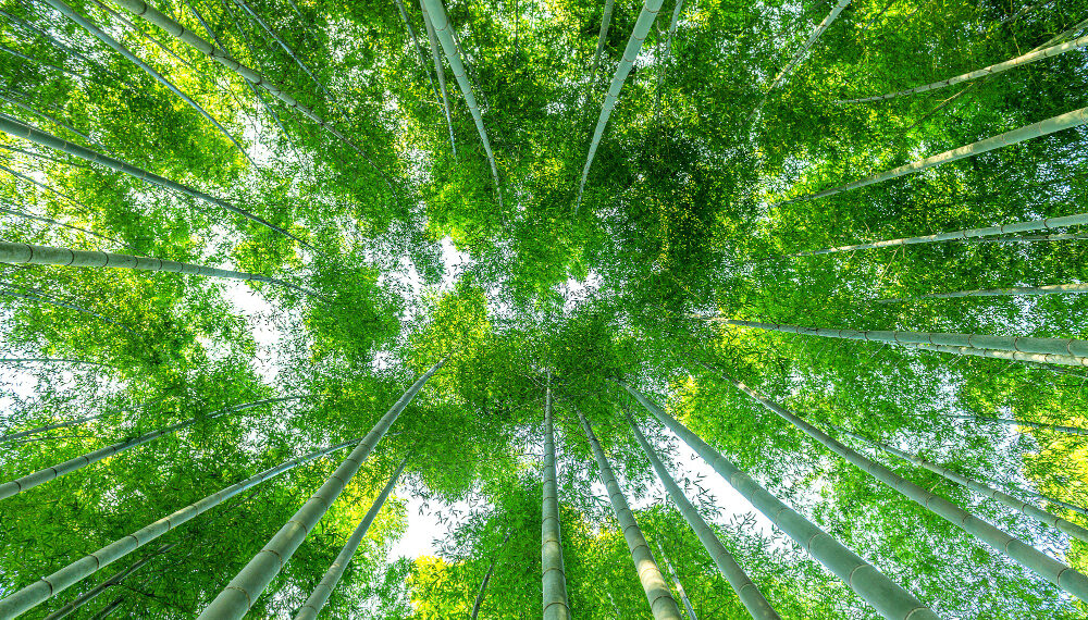 Εκτός της Net-Zero Insurance Alliance και τρίτη ασφαλιστική