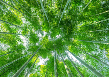 Εκτός της Net-Zero Insurance Alliance και τρίτη ασφαλιστική