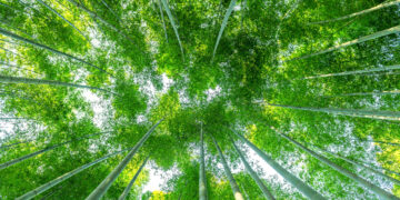 Εκτός της Net-Zero Insurance Alliance και τρίτη ασφαλιστική