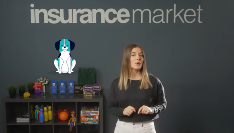 insurancemarket Στο-λύσαμε: Ασφάλεια κατοικιδίου (video)