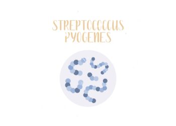 Οι λοιμώξεις που προκαλούνται συνήθως από τον πυογόνο στρεπτόκοκκο