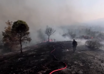 New York Post: Χιλιάδες άνθρωποι φεύγουν από τη Ρόδο λόγω πυρκαγιών (video)