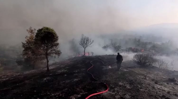 New York Post: Χιλιάδες άνθρωποι φεύγουν από τη Ρόδο λόγω πυρκαγιών (video)