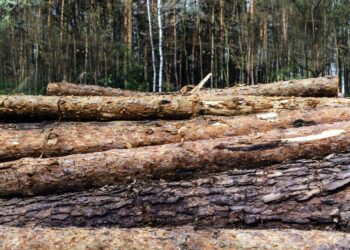 Ξεκινάει άμεσα η κατασκευή αντιδιαβρωτικών και αντιπλημμυρικών έργων