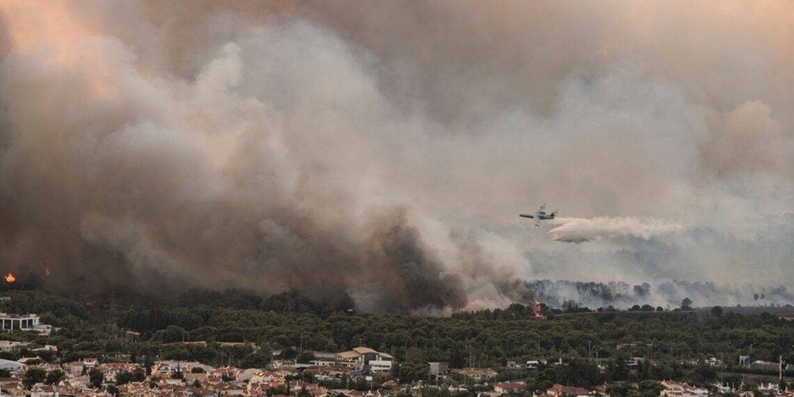 235 ασφαλισμένες ζημιές από τις δασικές πυρκαγιές 17-28 Ιουλίου 2023