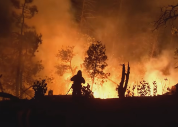 Ακραία καιρικά φαινόμενα: Πυρκαγιές (video)