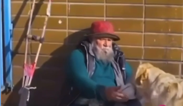 Hoolie Pet Insurance: Η αφοσίωση ενός κατοικιδίου (video)