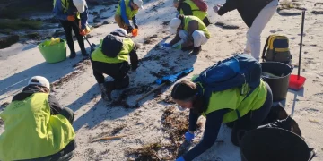 Οικολογικός κίνδυνος από τα πέλλετ στην Ισπανία
