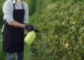 Αποζημίωση 2,2 δις δολ. σε κηπουρό από τη Monsanto